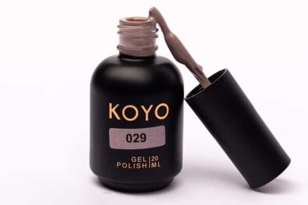 koyo 029