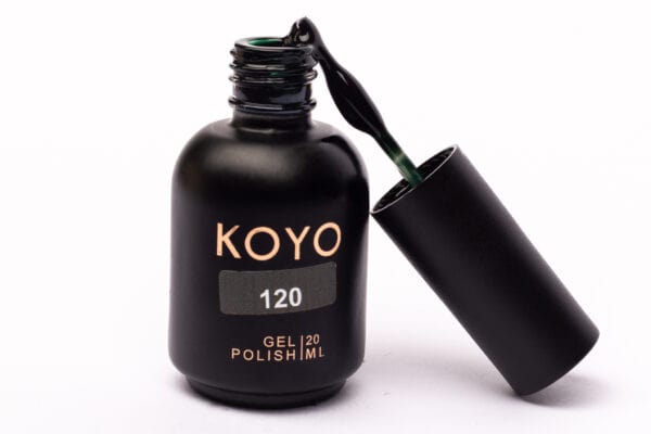 koyo 120